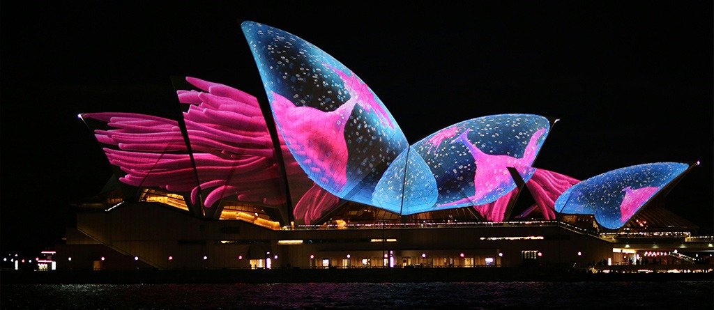 The sails of the Opera House beautifully lit up during the Vivid Sydney festival