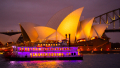Showboat II cruising past Opera House| Charters & Private Cruises