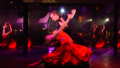 Cabaret Show performance aboard Sydney Showboats NYE Fireworks Cruises